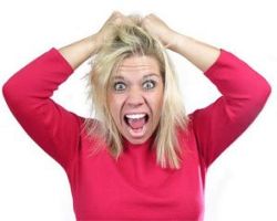 Como Actualizar WordPress Sin Problemas